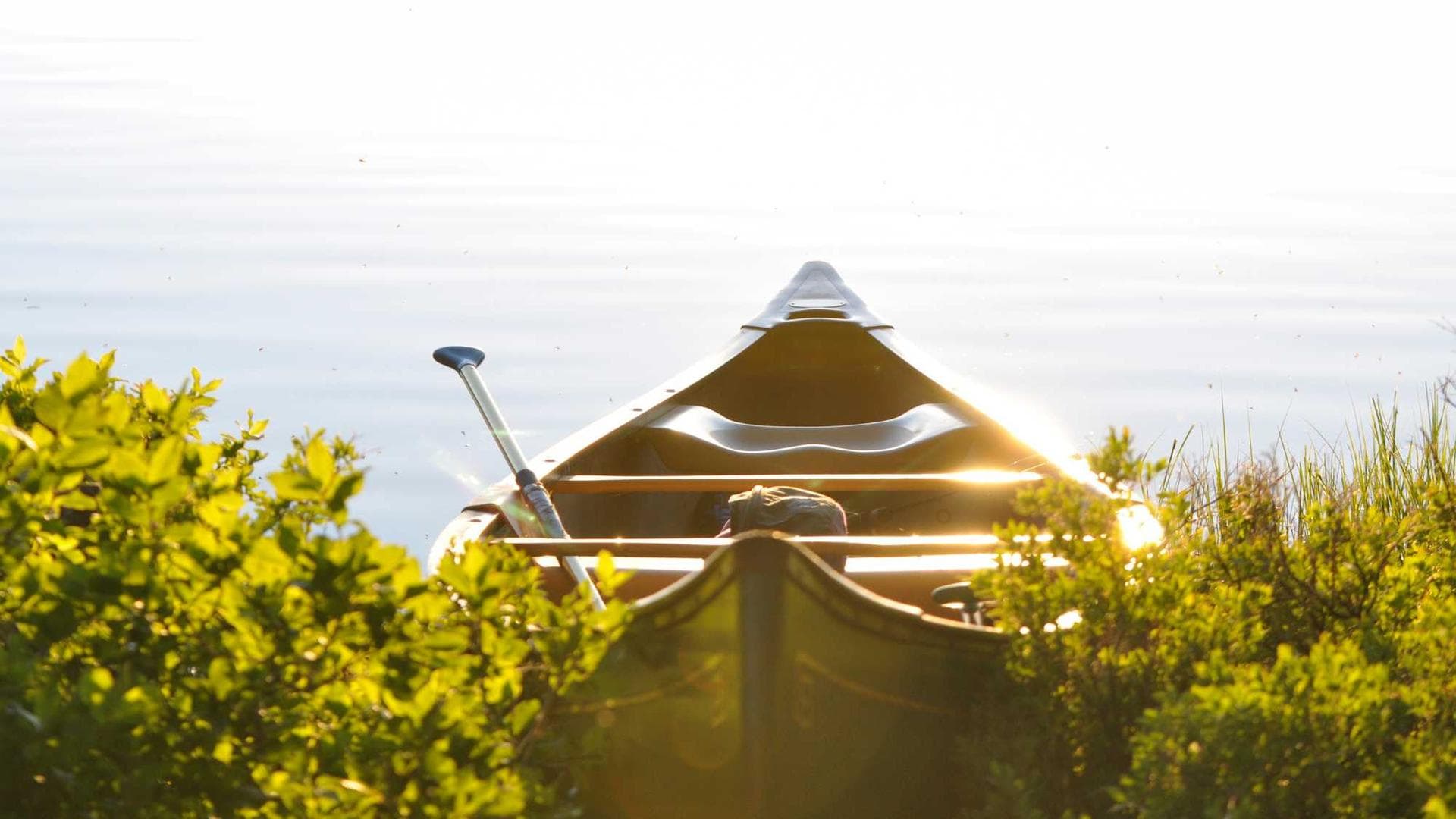 Desino subvenio acerbitas perferendis auctor.