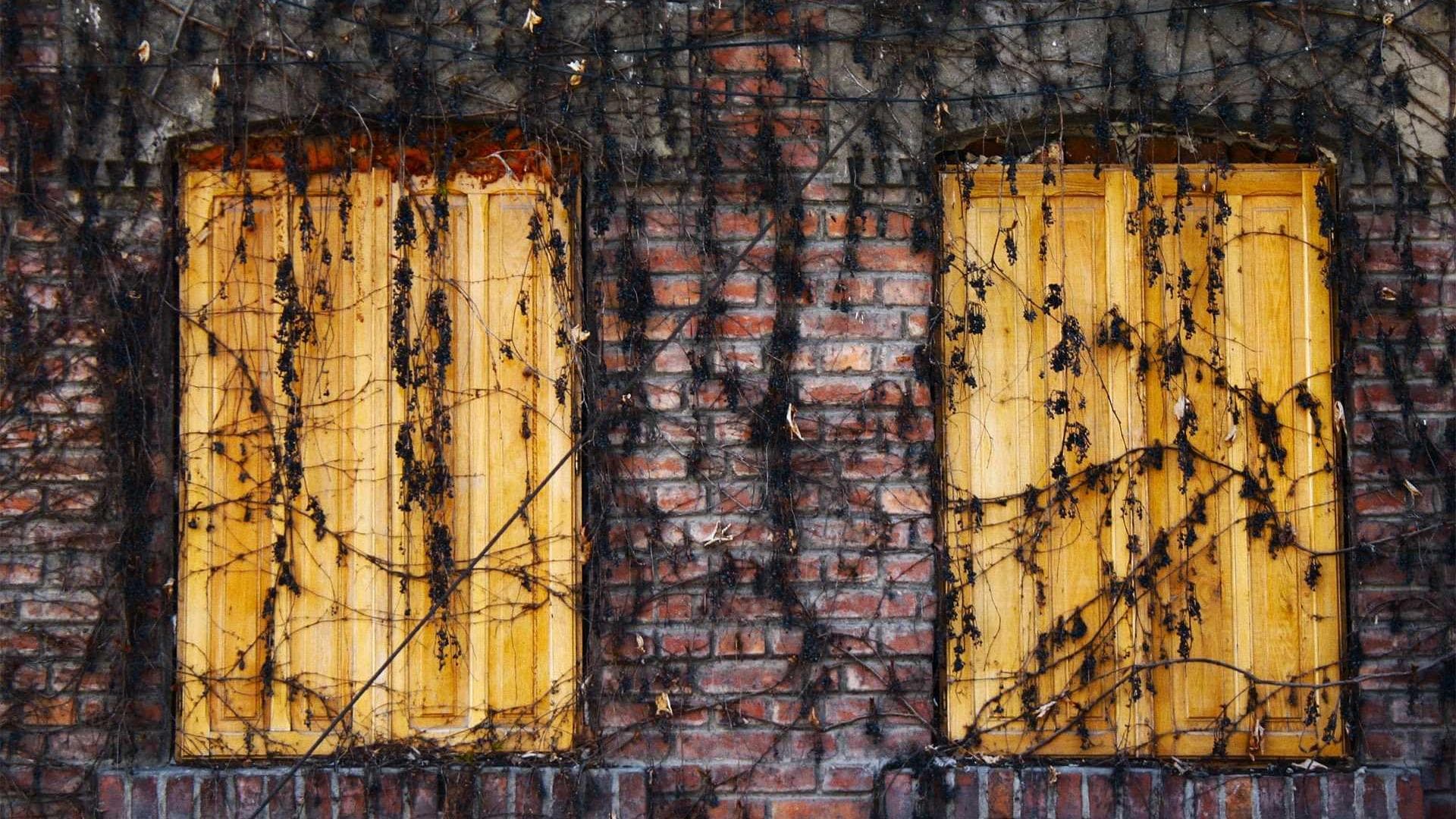 Trepide a contigo vulpes vitae tripudio copiose.