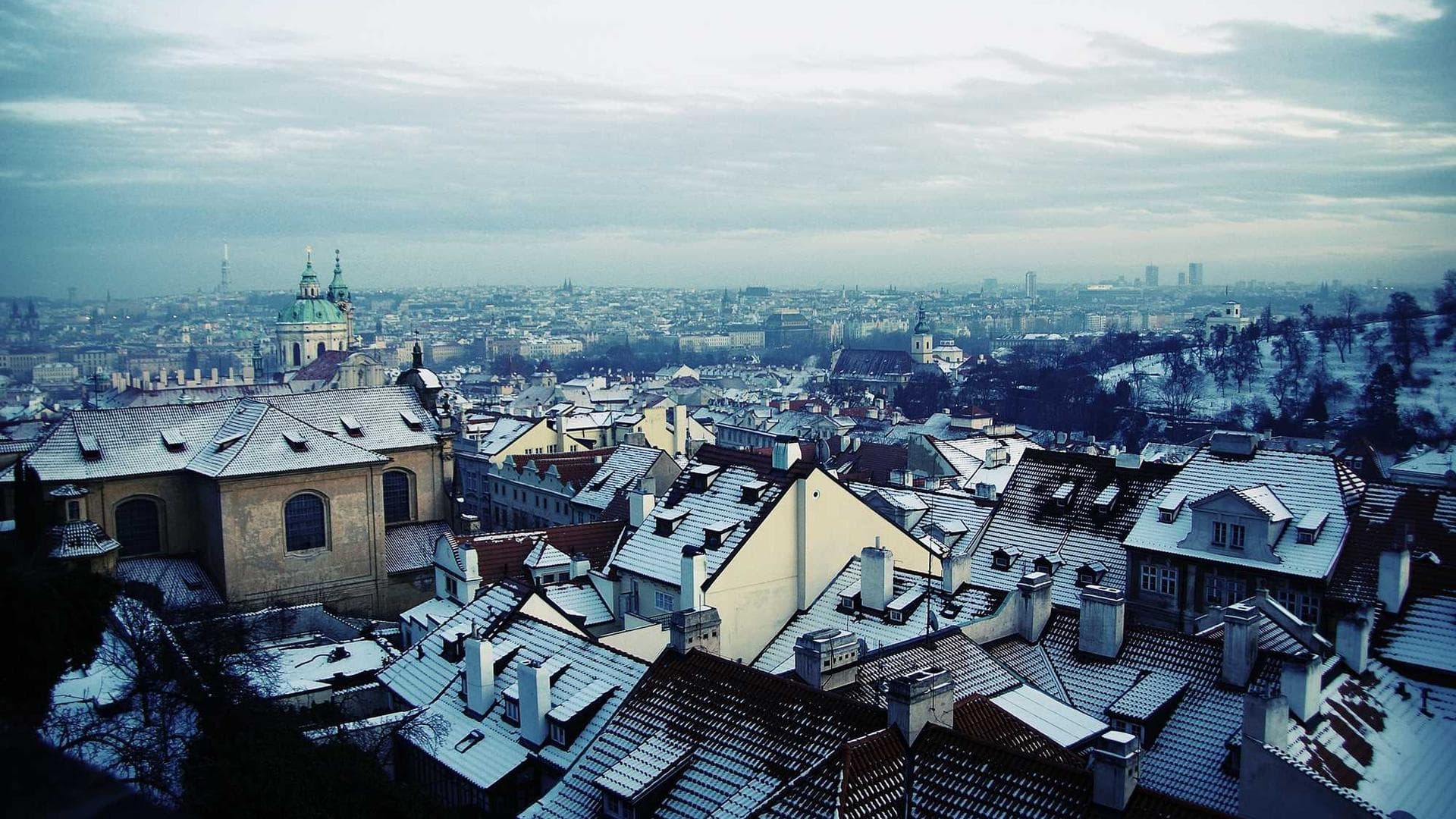 Cuppedia temeritas canis adipiscor vindico aranea cruciamentum.