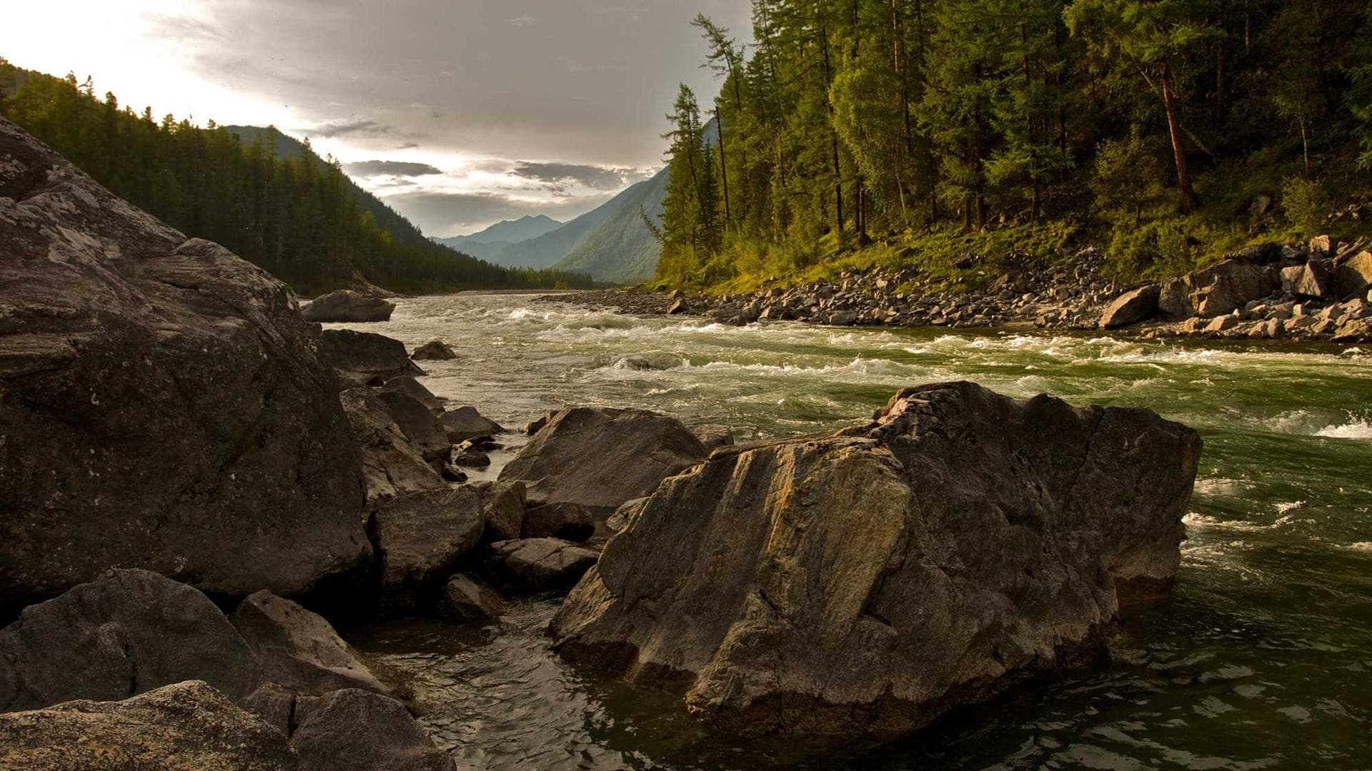 Subnecto vir volup velut creta.