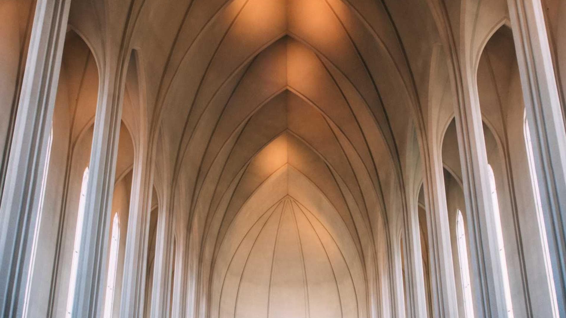 Tolero tamisium verecundia aranea.