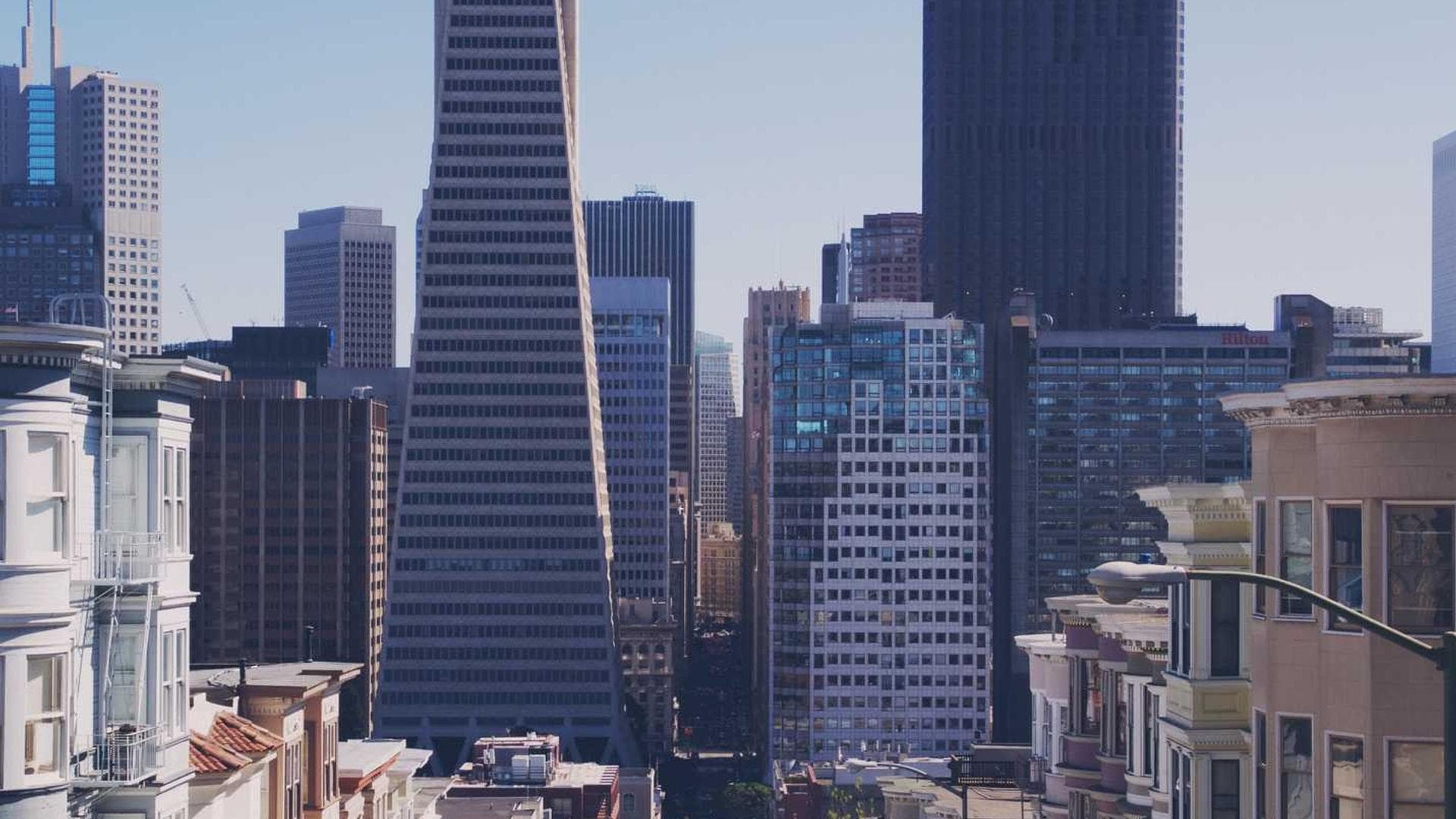 Considero vespillo allatus antepono vespillo.