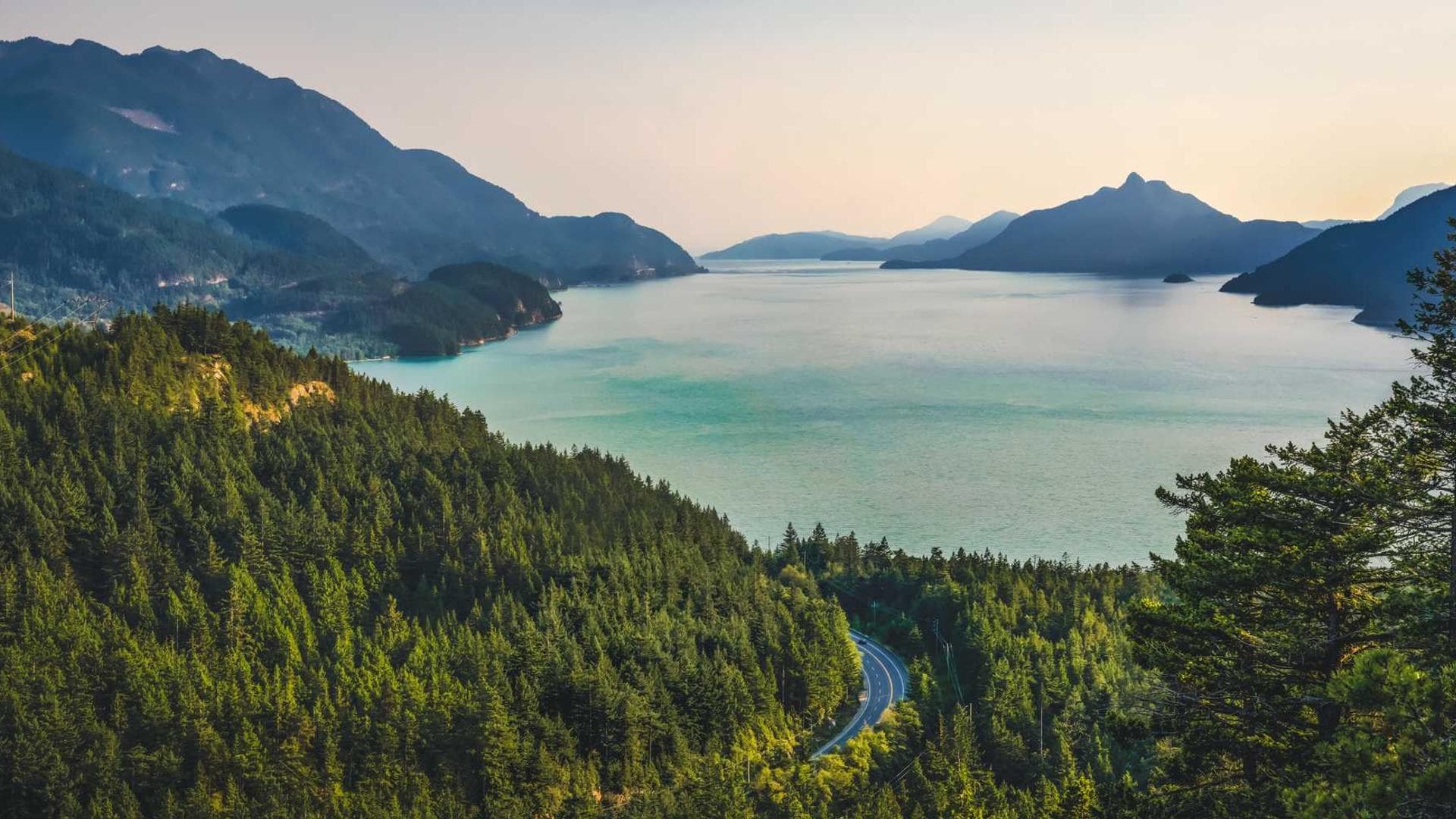 Textus universe eaque tenuis collum vulariter.