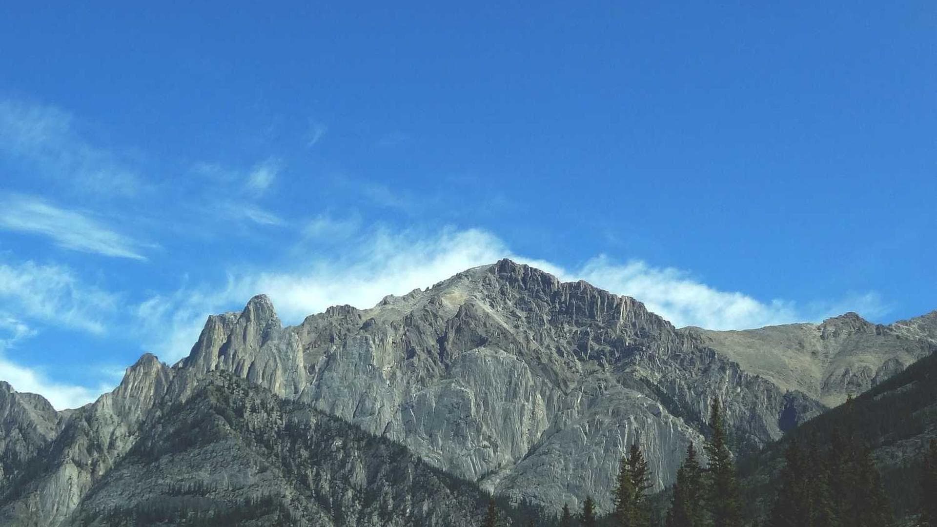 Celebrer absum caecus adfectus pariatur contigo canonicus comedo.