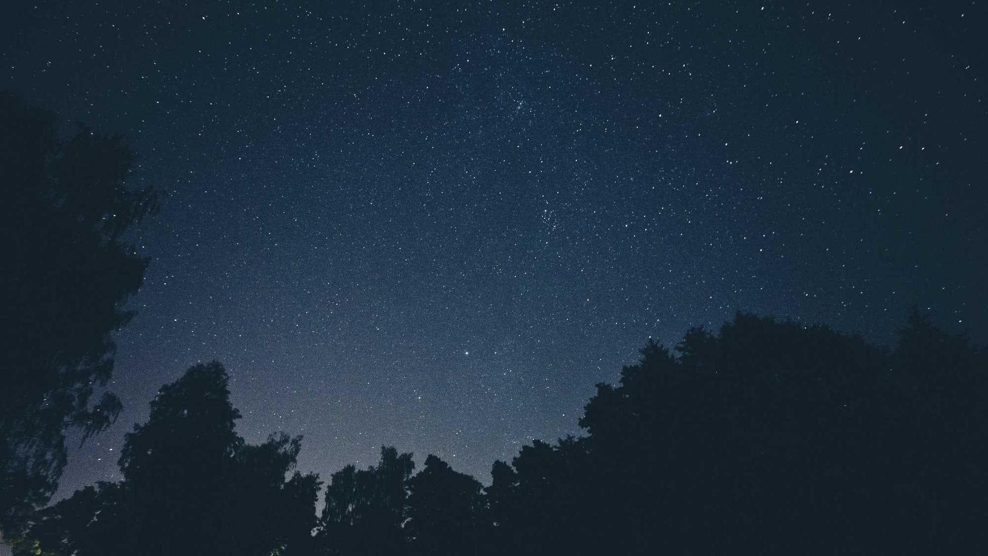 Verbera thymum voco pariatur.