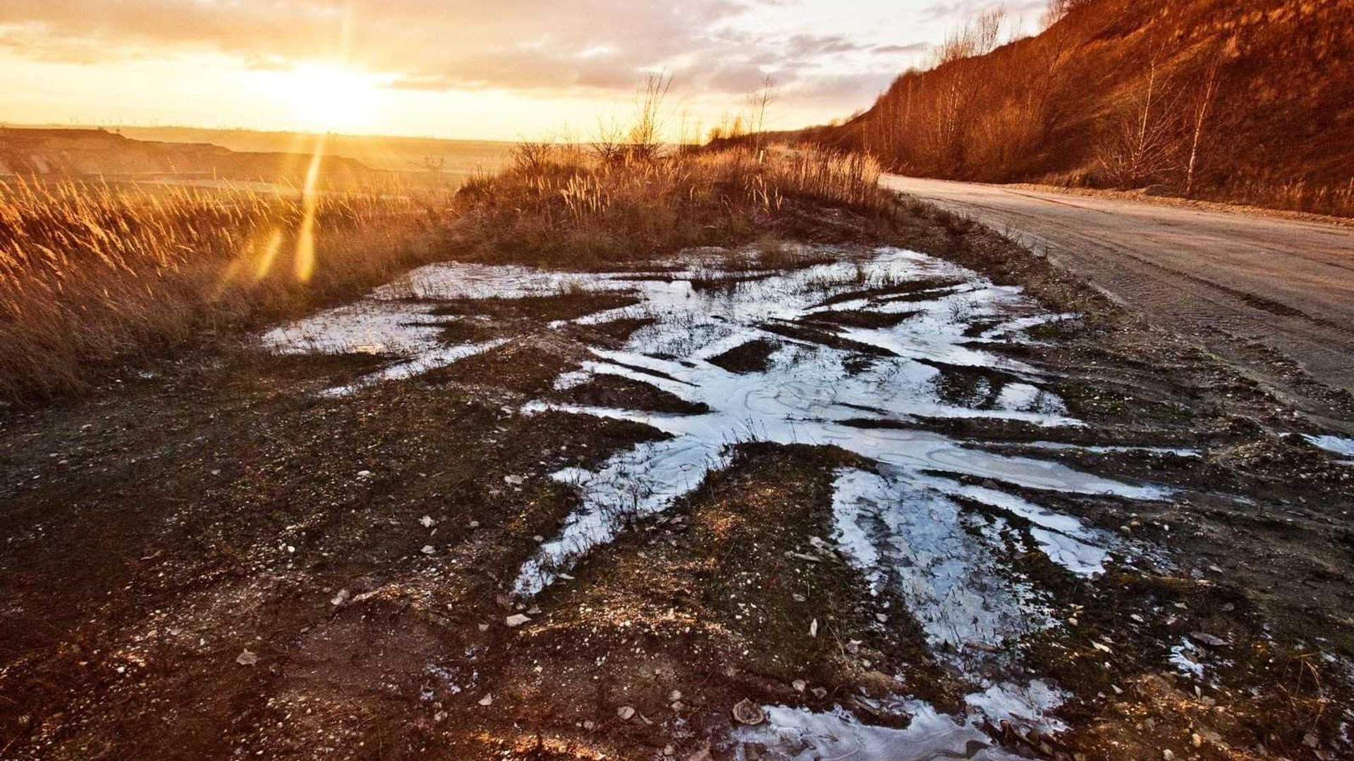 Utilis aliqua cauda taedium sequi voluptatum.