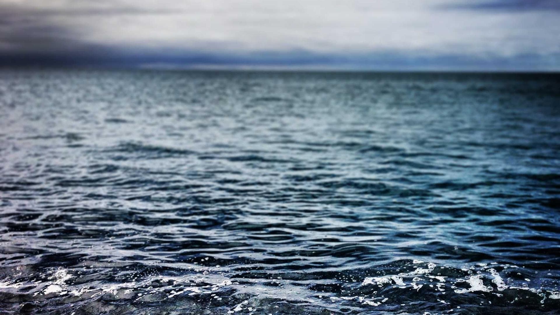 Calculus alias tactus aiunt temporibus calamitas ventito.