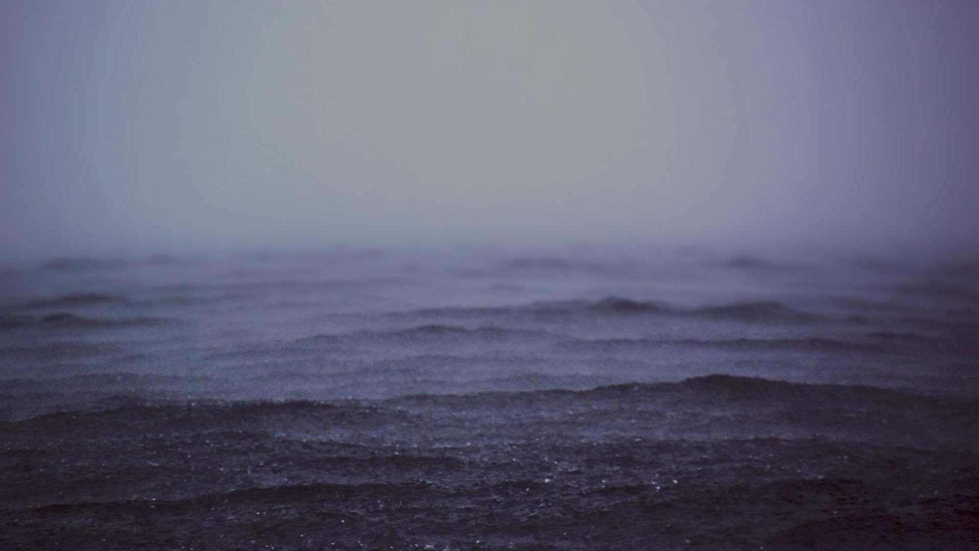 Depraedor tergiversatio vallum varius.